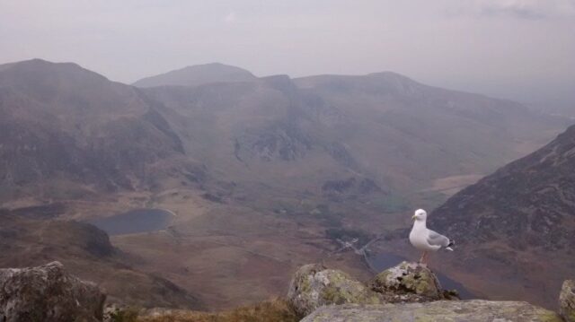 Tryfan Walk May 2017